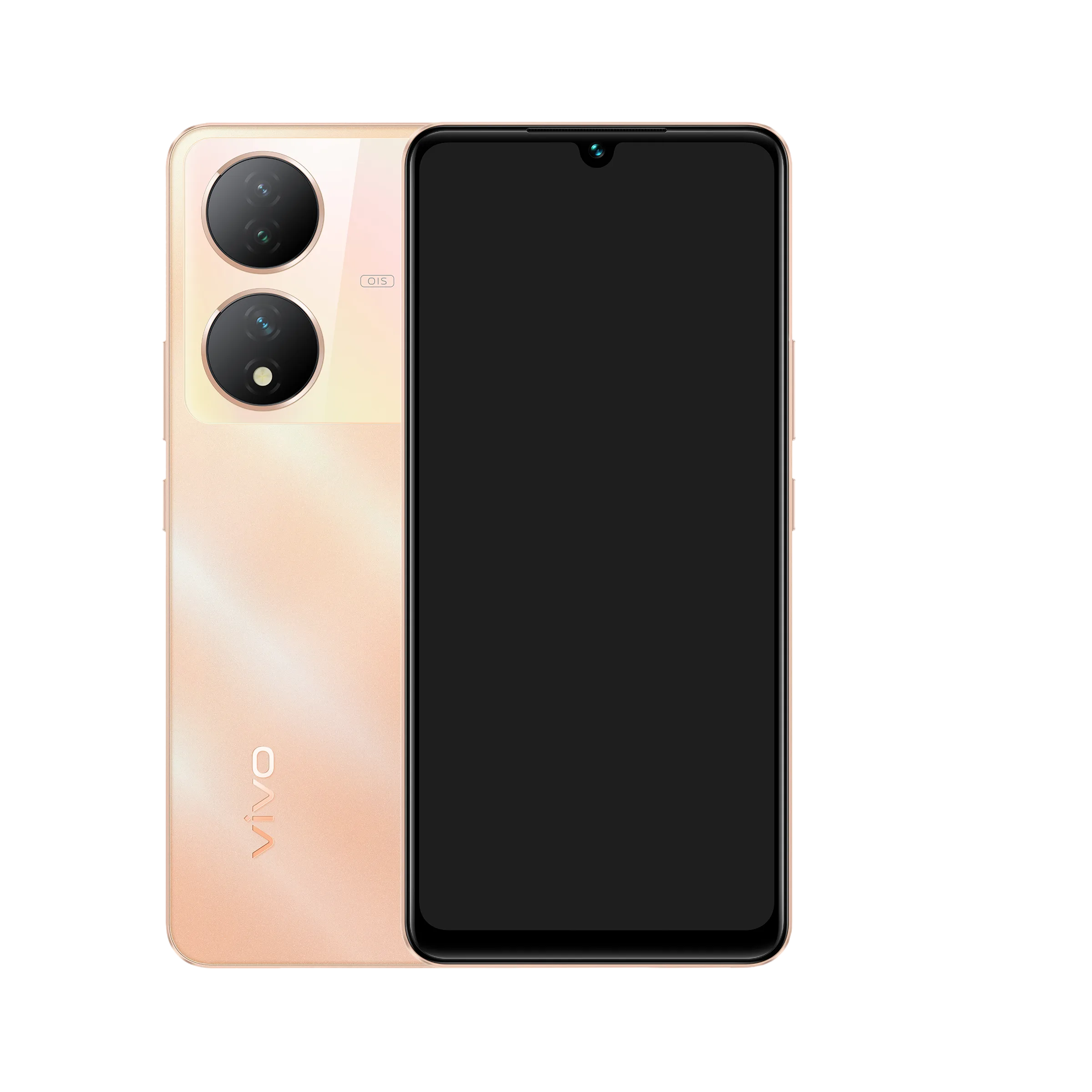 Vivo Y100 smartphone